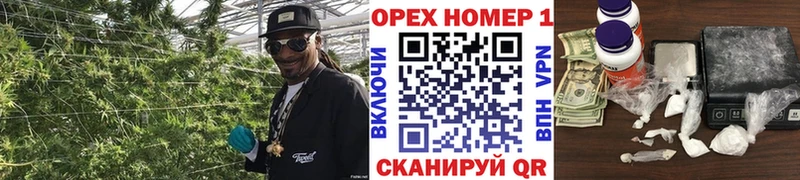 Купить наркотики Верхняя Пышма Каннабис  Кокаин  ГАШИШ  Alpha PVP  Меф 