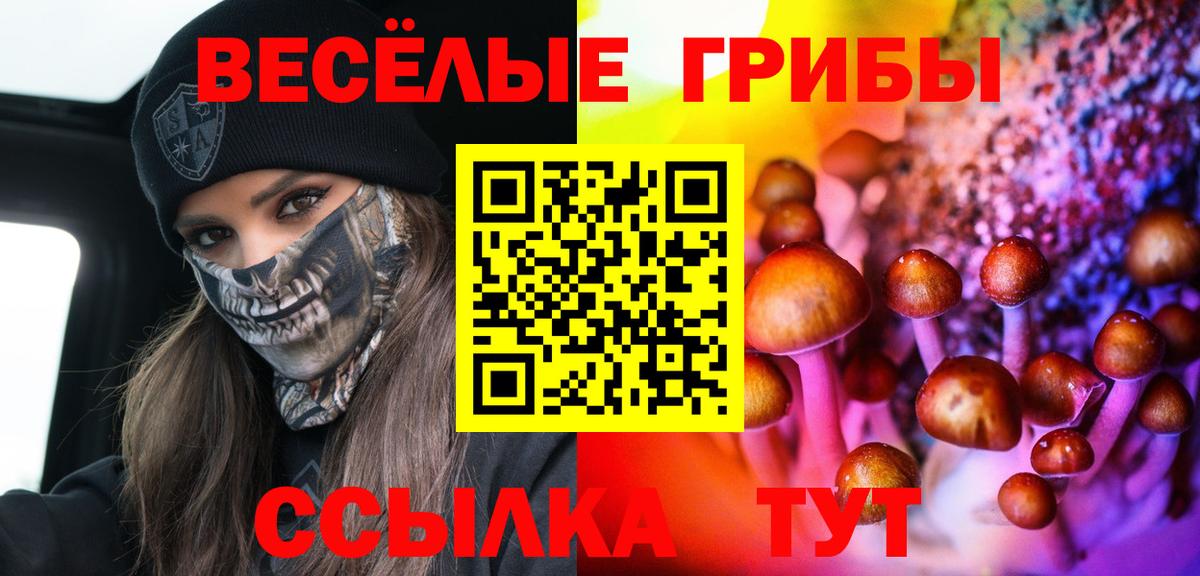 Галлюциногенные грибы ЛСД Верхняя Пышма