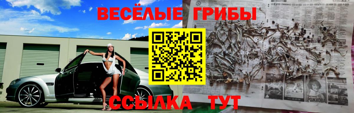 Верхняя Пышма  купить наркотики цена  Галлюциногенные грибы Psilocybine cubensis  Вход с VPN  Псилоцибиновые грибы прущие грибы 